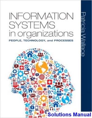 solutions manual for information systems in organizations 1st edition by patricia wallace