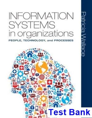 test bank for information systems in organizations 1st edition by patricia wallace