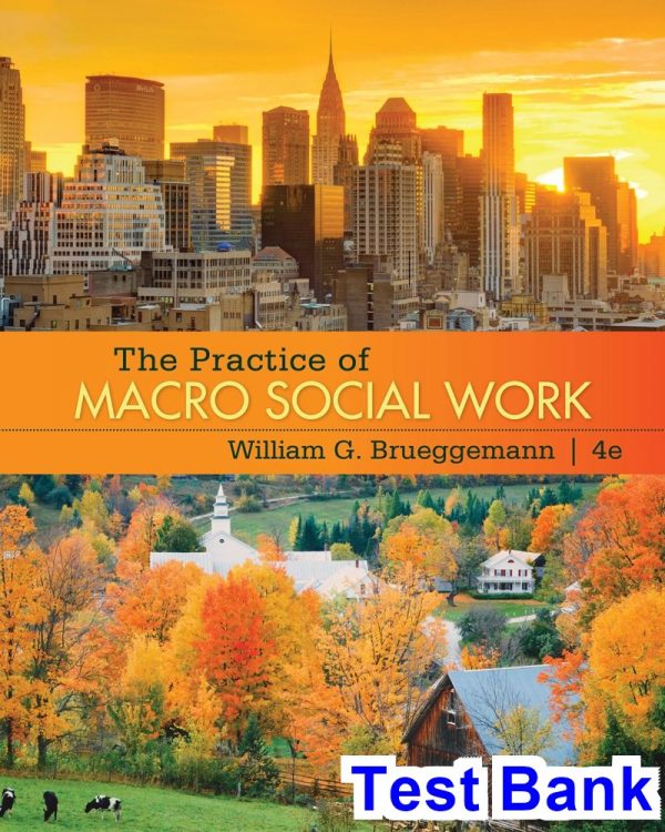 test bank for practice of macro social work 4th edition by brueggemann